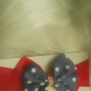 Laço galinha pintadinha
