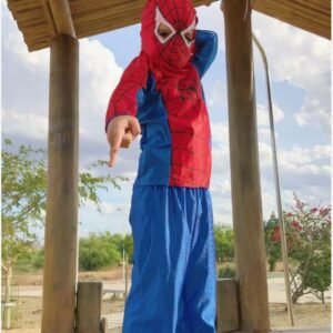 Homem Aranha Fantasia longa