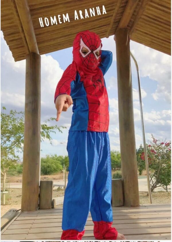 Homem Aranha Fantasia longa